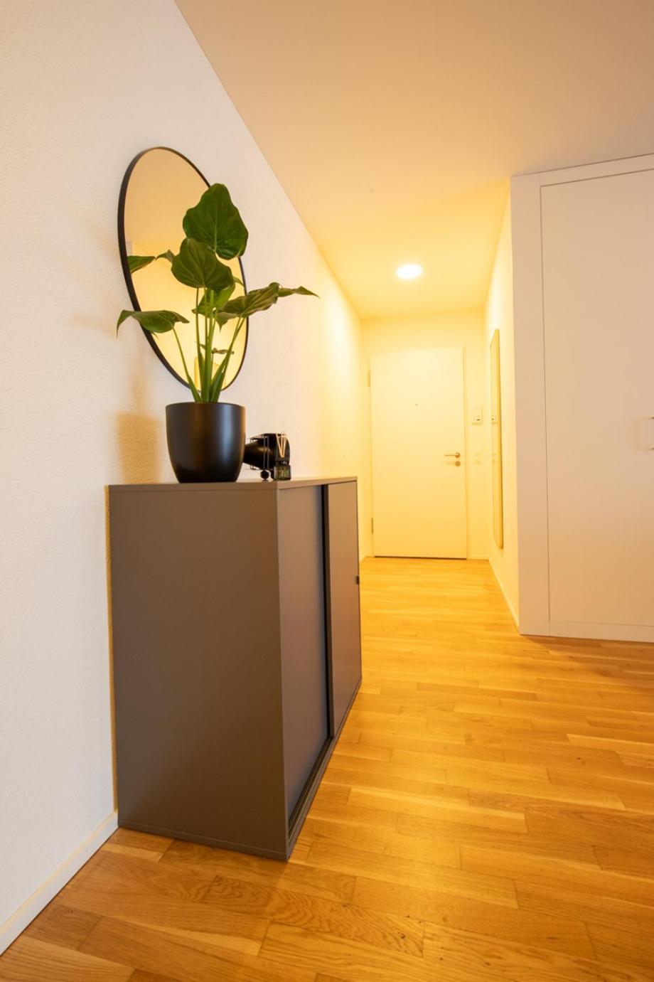 Special Einstein II Apartment Basel, Messe Kleinbasel 10-Star Экстерьер фото