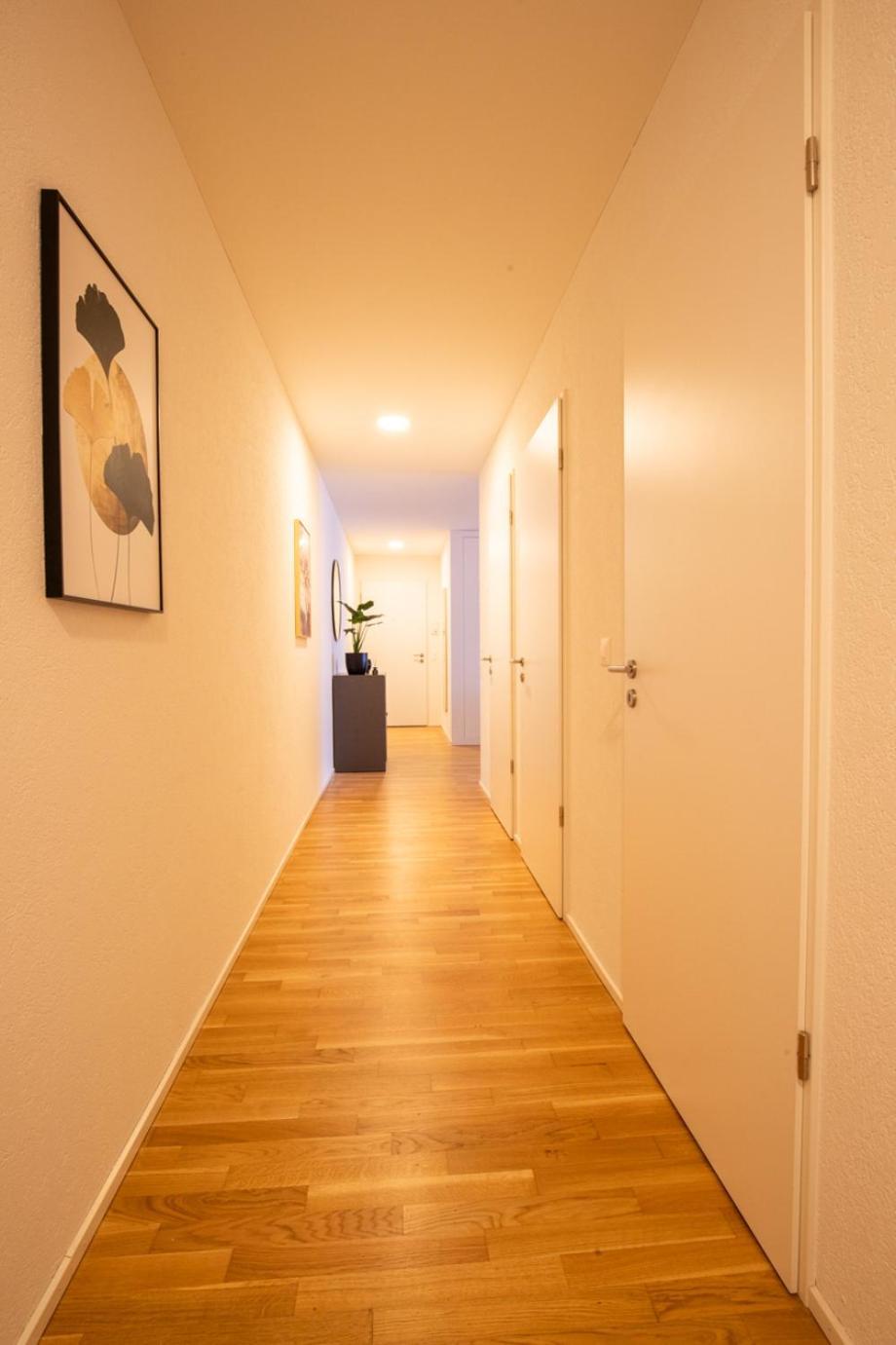 Special Einstein II Apartment Basel, Messe Kleinbasel 10-Star Экстерьер фото