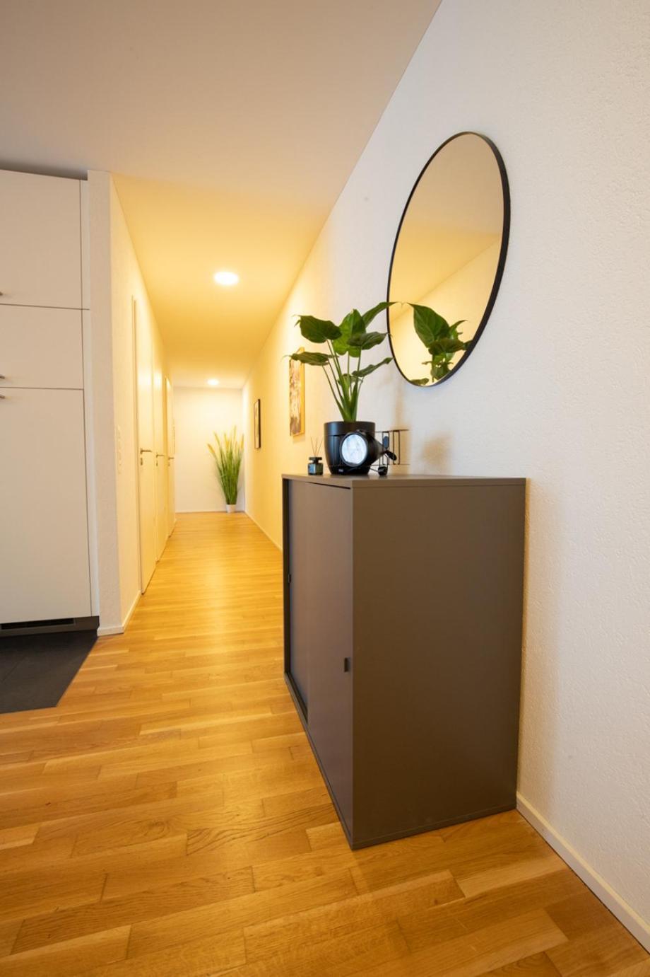 Special Einstein II Apartment Basel, Messe Kleinbasel 10-Star Экстерьер фото