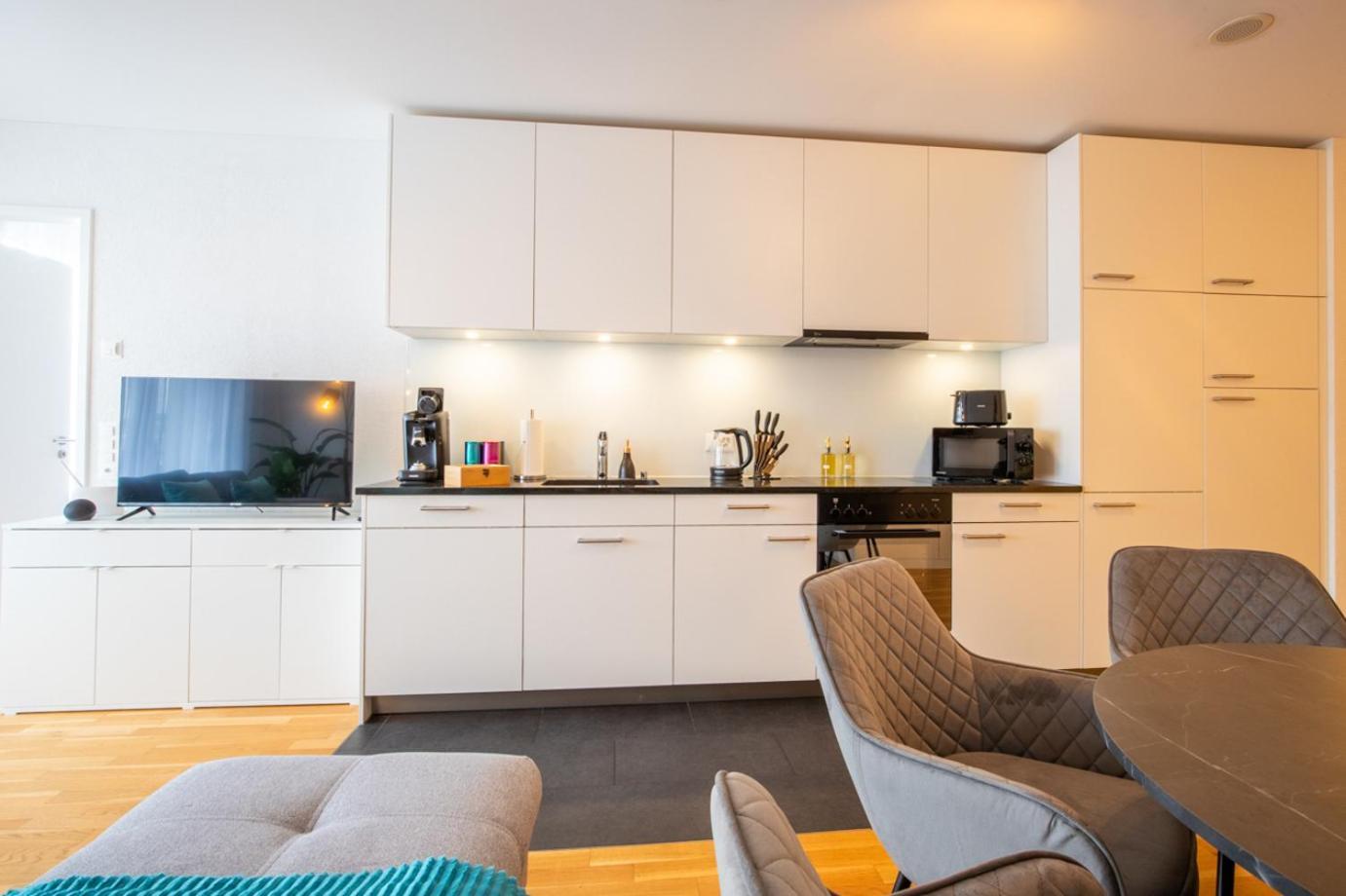 Special Einstein II Apartment Basel, Messe Kleinbasel 10-Star Экстерьер фото
