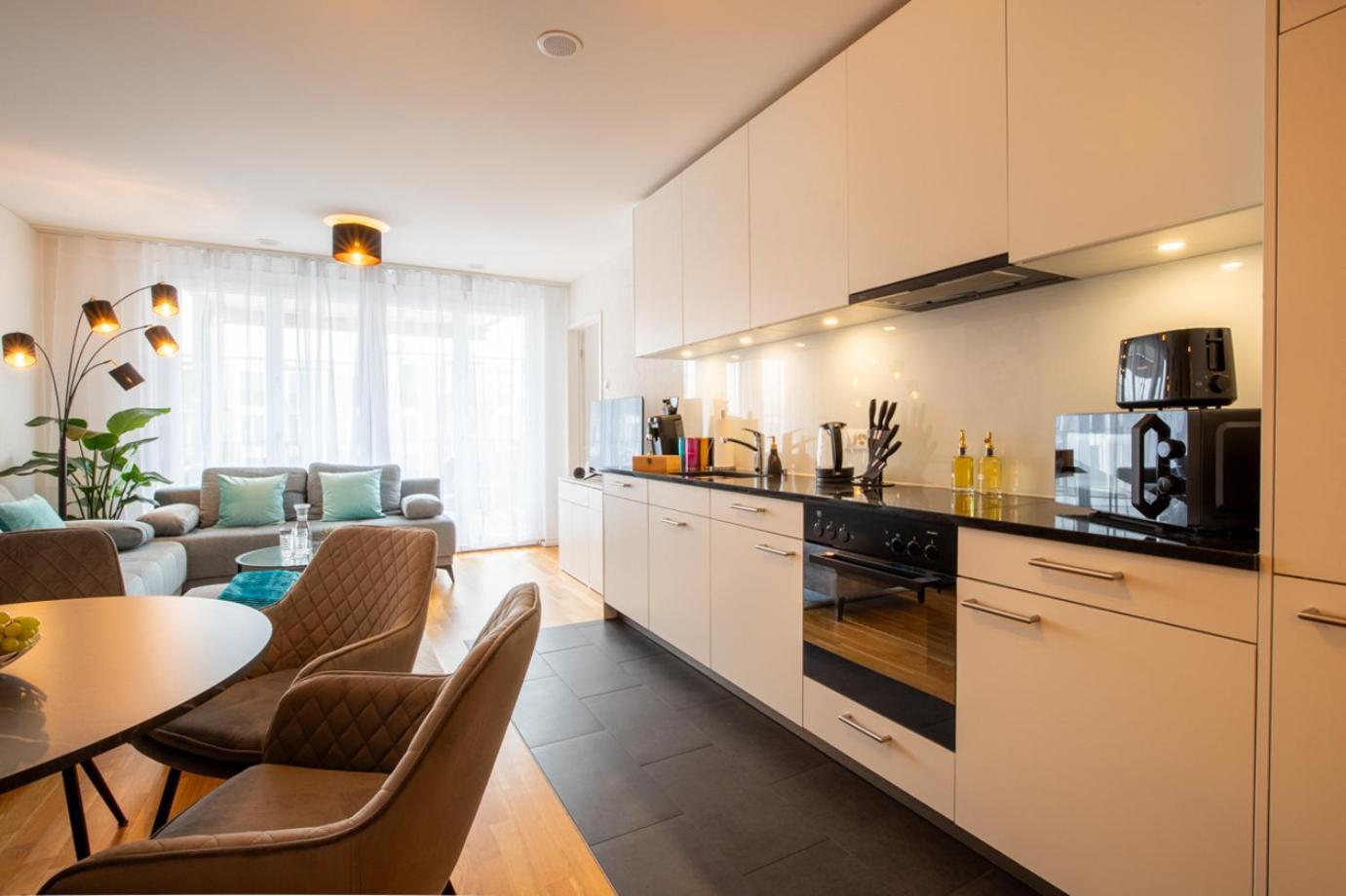 Special Einstein II Apartment Basel, Messe Kleinbasel 10-Star Экстерьер фото